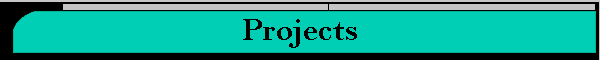 Projects